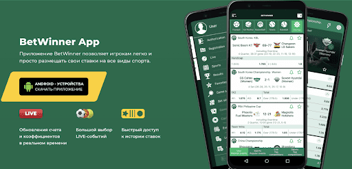 Explore the BetWinner Mobile App for Betting on the Go