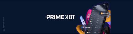 Comprehensive Insight PrimeXBT Team Overview Comprehensive Insight PrimeXBT Team Overview